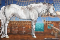 Horse Color:White Spotted Chocolate Silver Blue Onyx Chinchilla Sabino 