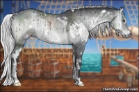 Horse Color:White Spotted Silver Blue Onyx Chinchilla Sabino 