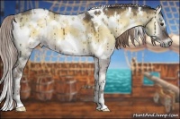 Horse Color:White Spotted Chocolate Palomino Onyx 