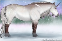 Horse Color:White Spotted Chocolate Silver Brown Chinchilla Rabicano 