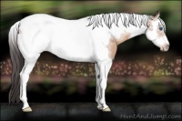 Horse Color:Sable Champagne Splash Tobiano Frame