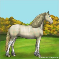 Horse Color:Plaid  White Spotted Liver Red Dun Pearl Sabino 