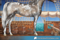 Horse Color:White Spotted Silver Blue Onyx Brindle 