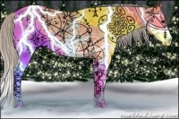 Horse Color:Silver Grullo Ice Sabino Splash