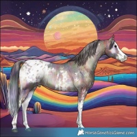 Horse Color:Nacre Silver Bay Onyx Sabino Splash Appaloosa  and Nacre Brown Onyx Sabino Splash Appaloosa 