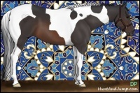 Horse Color:Brown Tobiano 