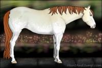 Horse Color:White Spotted Classic Champagne Ice Pearl Onyx 