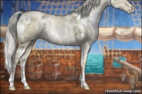 Horse Color:White Spotted Chocolate Palomino Ice Pearl Dun Rabicano