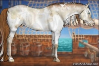 Horse Color:White Spotted Buckskin Pearl Dun 