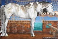 Horse Color:White Spotted Buckskin Ice Dun Splash Rabicano 