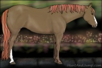 Horse Color:Painted Chestnut 