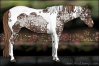 Horse Color:Liver Chestnut Ice Tobiano 