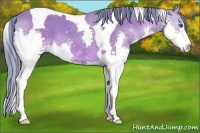 Horse Color:Watercolor Bay Sabino Splash Tobiano
