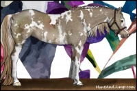 Horse Color:White Spotted Liver Red Dun Ice Brindle