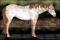 Horse Color:Chestnut Ice Frame 