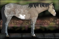 Horse Color:Brown Ice Frame 