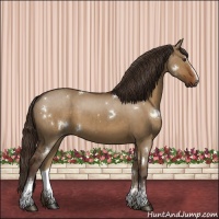 Horse Color:White Spotted Liver Red Dun Rabicano 
