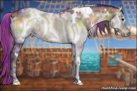 Horse Color:Nacre White Spotted Brown Onyx