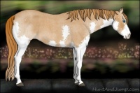 Horse Color:Red Roan Splash 