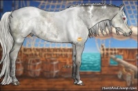 Horse Color:White Spotted Silver Smoky Grullo Chinchilla Ice Sabino
