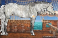 Horse Color:White Spotted Silver Smoky Grullo Chinchilla Ice Sabino