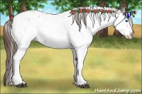 Horse Color:Liver Chestnut Sabino Splash Near Leopard  and Liver Chestnut Sabino Splash Near Leopard 