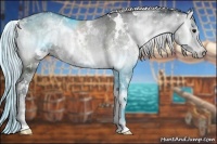 Horse Color:White Spotted Silver Blue Onyx Chinchilla Brindle