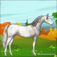 Horse Color:White Spotted Liver Red Dun Ice Pearl Mushroom Splash Rabicano 
