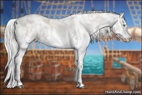 Horse Color:White Spotted Liver Red Dun Ice Pearl Splash Rabicano