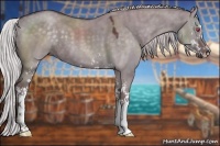 Horse Color:Chocolate Silver Grullo Chinchilla Sabino