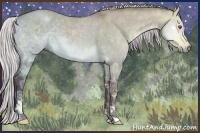 Horse Color:Chocolate Silver Brown Chinchilla Ice Dun Sabino Brindle