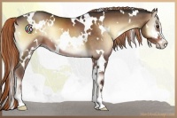 Horse Color:White Spotted Liver Red Onyx Sabino