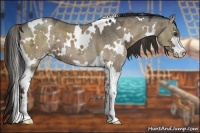 Horse Color:White Spotted Liver Red Dun Ice Sabino