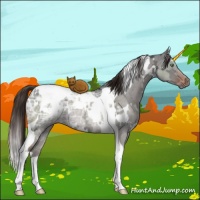 Horse Color:White Spotted Liver Red Dun Ice Tobiano 