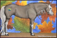 Horse Color:Silver Grullo Roan Splash 