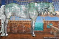 Horse Color:Plaid  White Spotted Silver Buckskin Chinchilla Onyx Sabino 