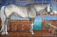 Horse Color:White Spotted Silver Smoky Blue Onyx Chinchilla Sabino