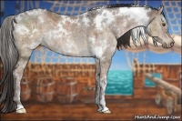 Horse Color:White Spotted Liver Red Dun Ice