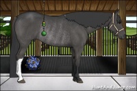 Horse Color:Black Rabicano 