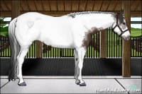 Horse Color:Brown Tobiano Frame 