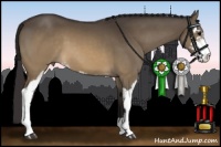 Horse Color:Buckskin Dun Sabino