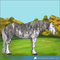 Horse Color:Platinum Buckskin Sabino and Platinum Liver Chestnut Sabino Splash