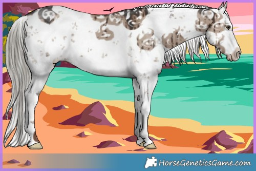 Horse Color:White Spotted Liver Red Dun Mushroom Sabino Brindle 