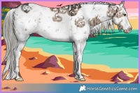 Horse Color:White Spotted Liver Red Dun Mushroom Sabino Brindle