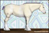 Horse Color:White Spotted Gold Cream Champagne 