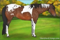 Horse Color:Bay Tobiano Snowflake Varnish 