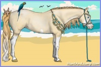Horse Color:Buckskin Pearl Splash Frame 