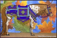 Horse Color:Chestnut Near Leopard