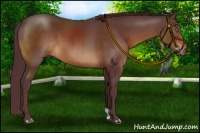 Horse Color:Chocolate Brown 
