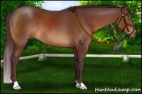 Horse Color:Chocolate Brown 